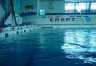 Сауна в плавательном бассейне Спартак